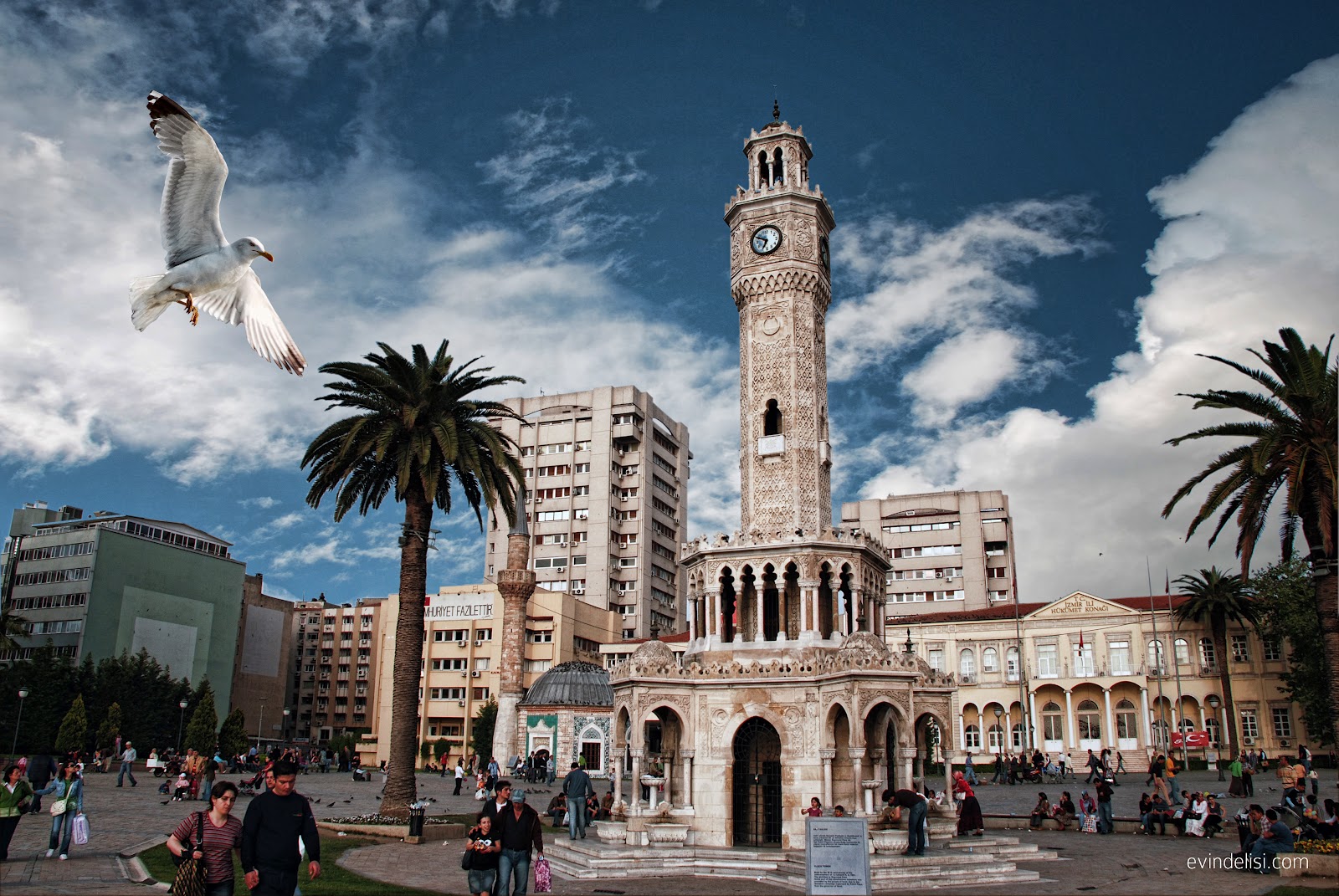 izmir saat kulesi ve martılar