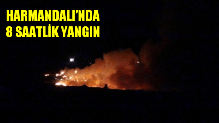 Harmandalı’da yine yangın çıktı: Alevlerle 8 saat savaş!