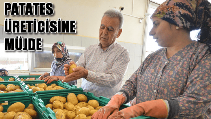 Patates Üreticisine İyi Haber