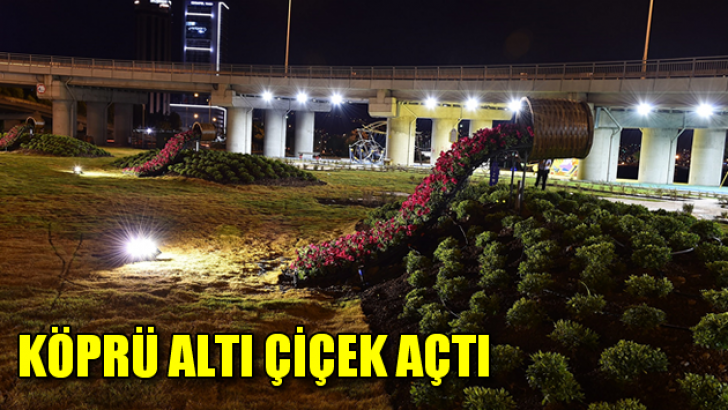 Köprü altı Çiçek Açtı