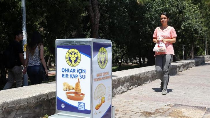 Bu kutular karın doyuruyor