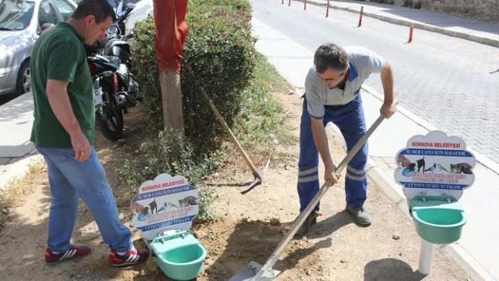 Bornova’da sokaktaki dostlar için örnek projeler