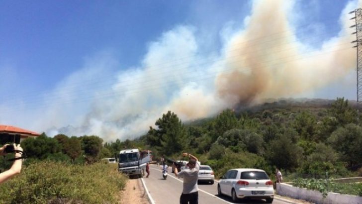 Çeşme’de korkutan yangın!