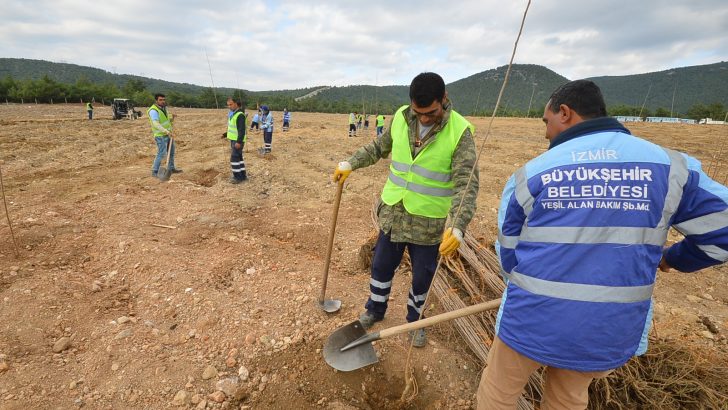 Moloz döküm alanından fidanlığa