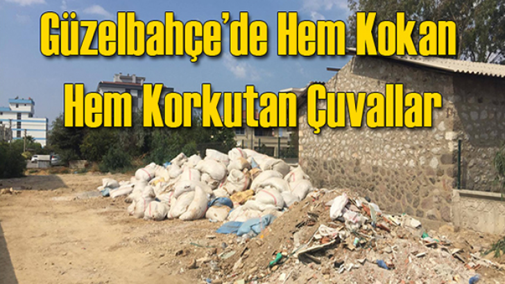 Hem kokan hem korkutan çuvallar