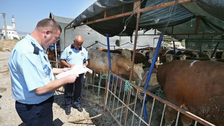 Kurban satış yerlerine sıkı denetim