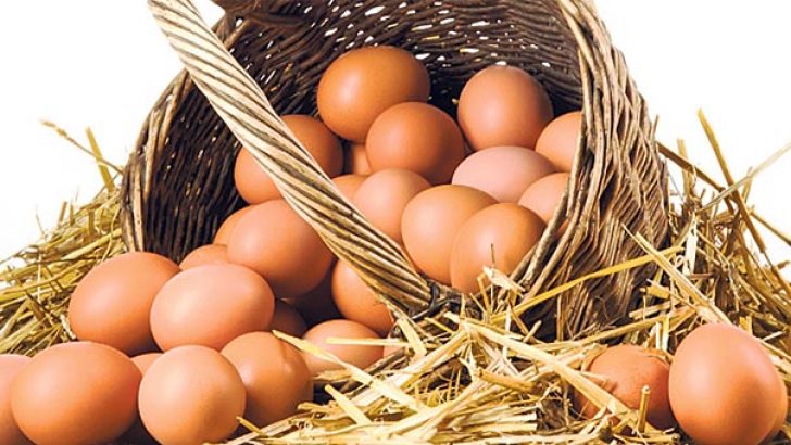Yumurta fiyatları yükselişe geçti!