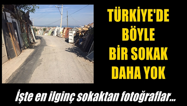 Türkiye’de böyle bir sokak daha yok! İşte fotoğrafları…