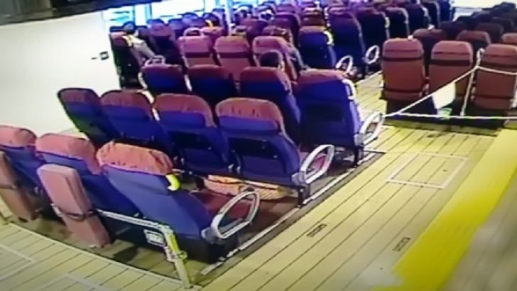 5 sevimli yavru dünyaya gözlerini Soma 301’de açtı!