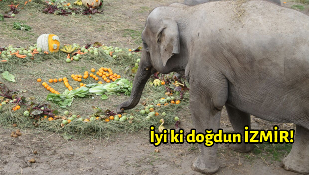 İyi ki doğdun İZMİR!