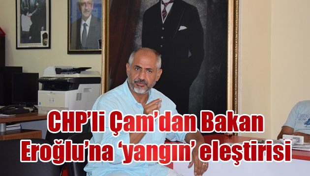 CHP’li Çam’dan Bakan Eroğlu’na ‘yangın’ eleştirisi