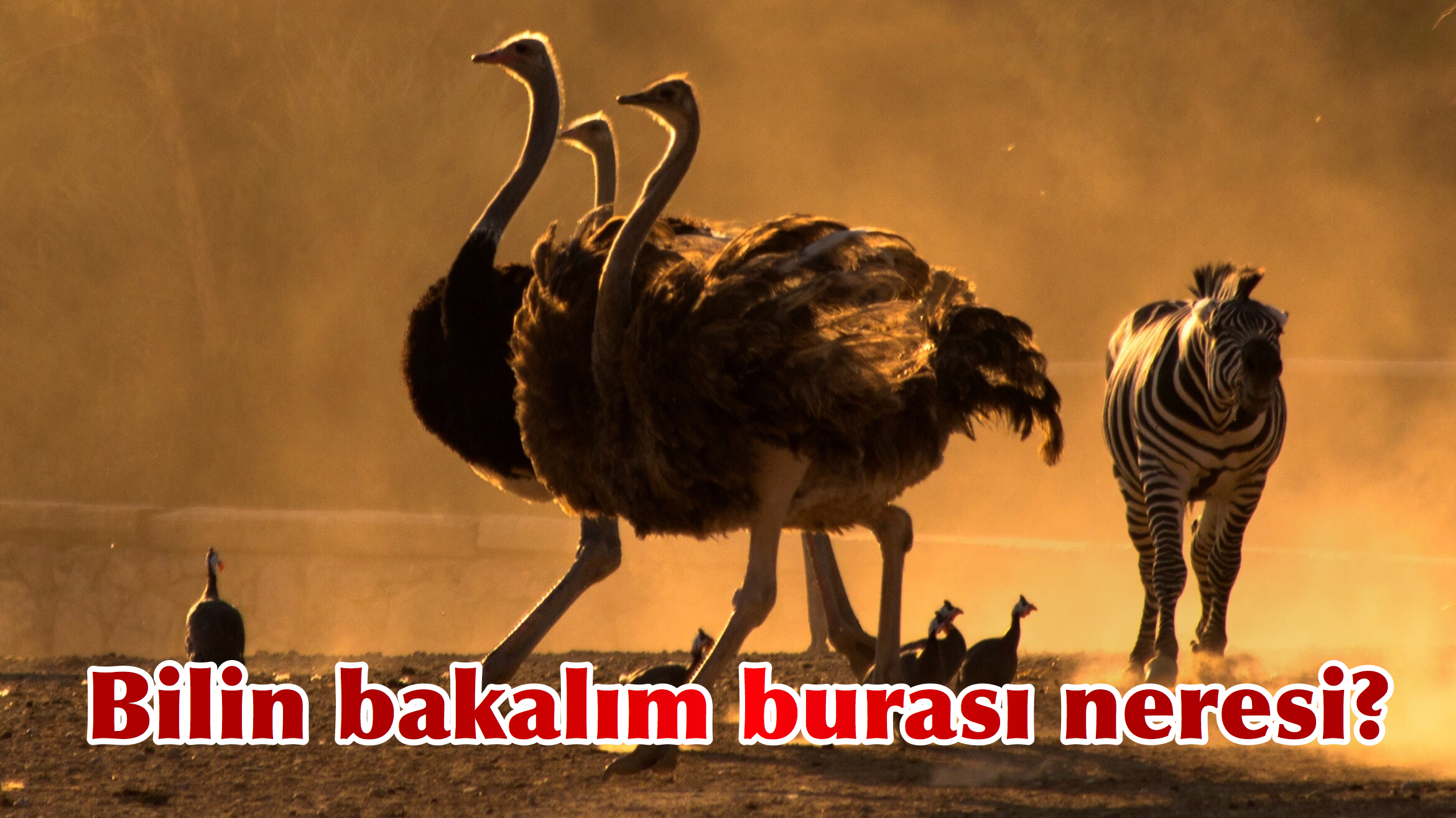 Bilin bakalım burası neresi?