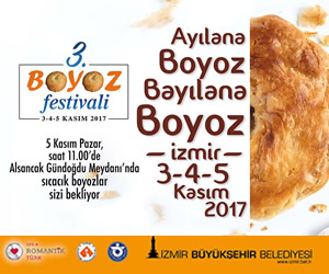 boyozx300-250