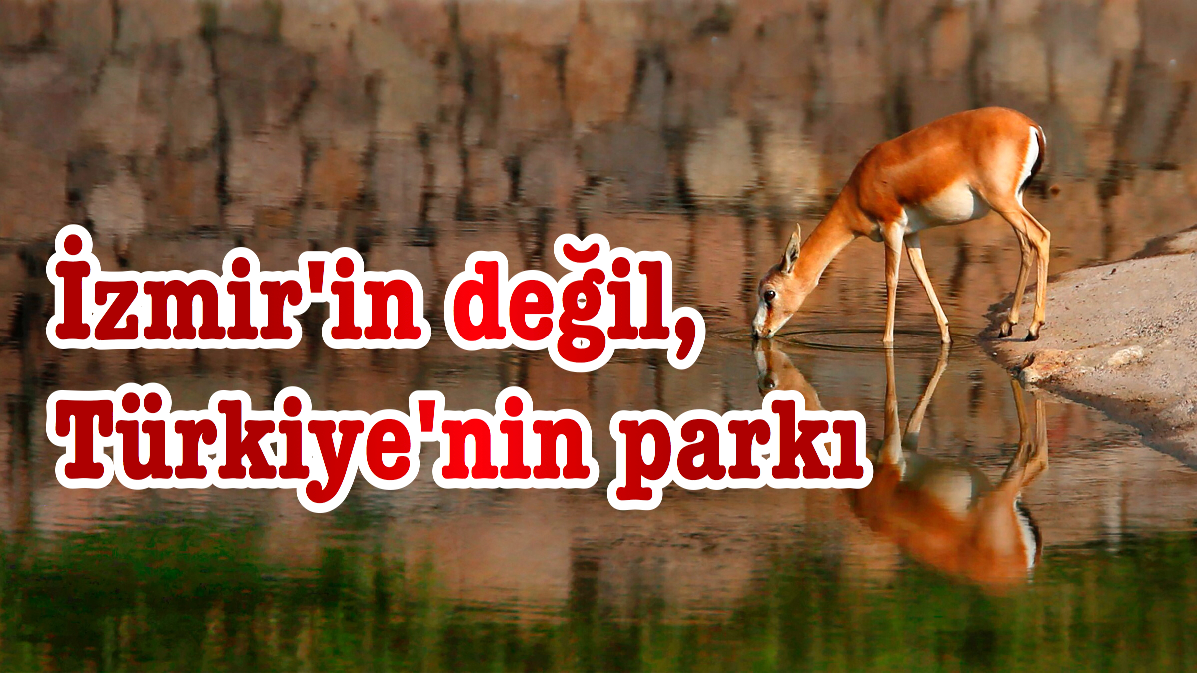 İzmir’in değil, Türkiye’nin parkı
