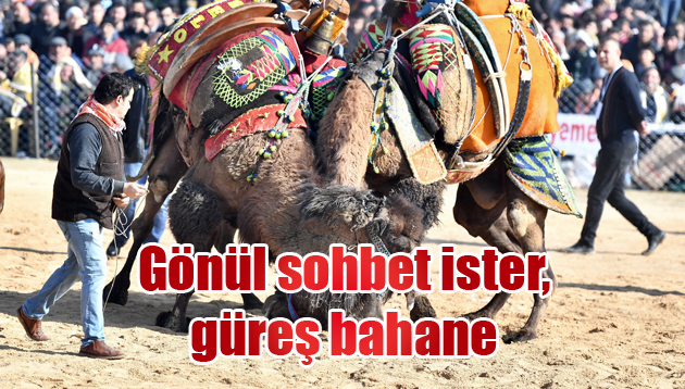 Gönül sohbet ister, güreş bahane