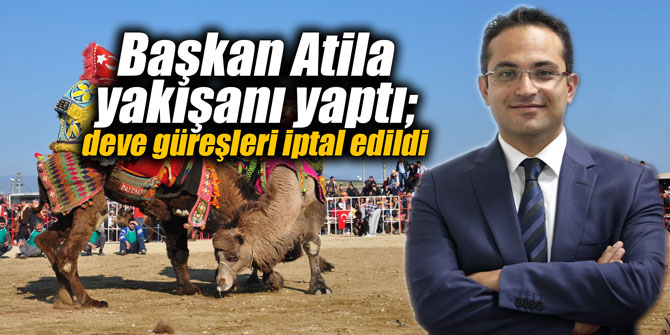 Başkan Atila yakışanı yaptı; deve güreşleri iptal edildi