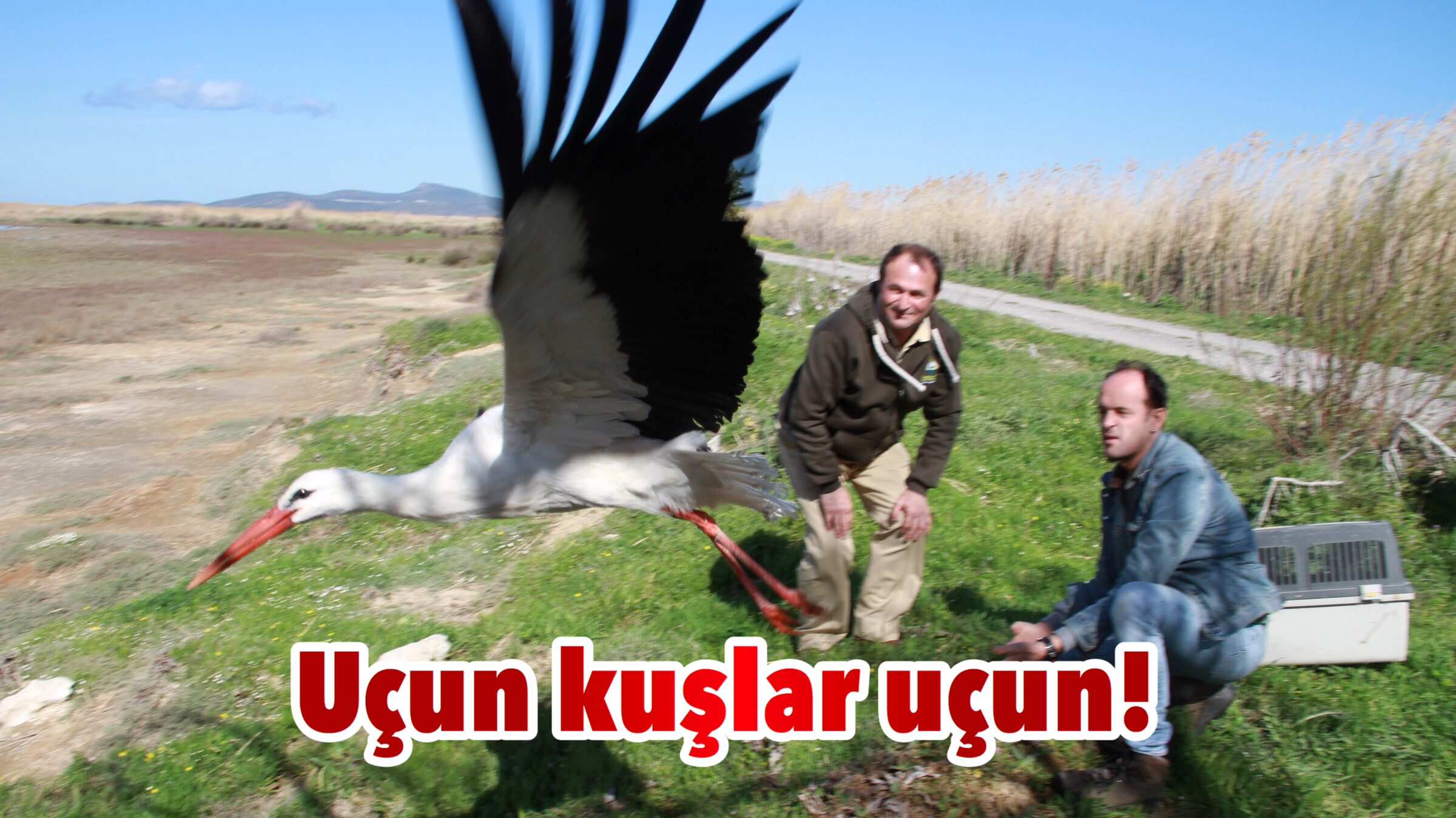 Uçun kuşlar uçun!