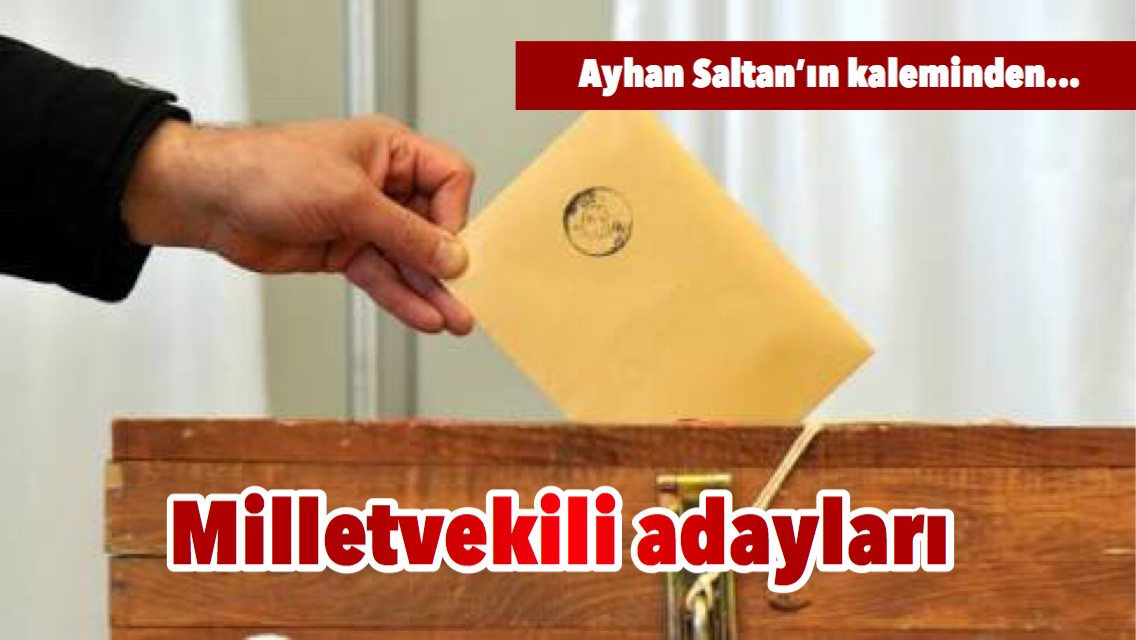 Milletvekili adayları