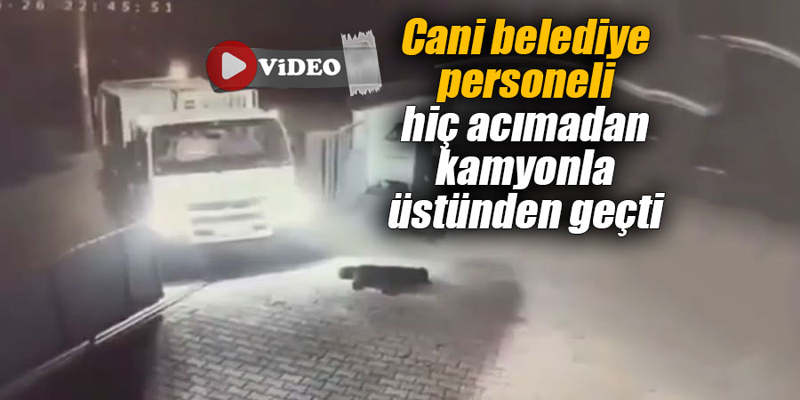 Cani belediye personeli hiç acımadan kamyonla üstünden geçti