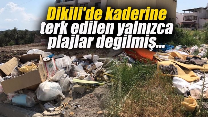 Dikili’de kaderine terk edilen yalnızca plajlar değilmiş…