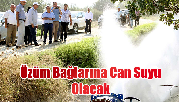 Üzüm Bağlarına Bereket Akacak