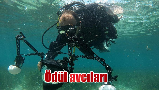 Ödül avcıları