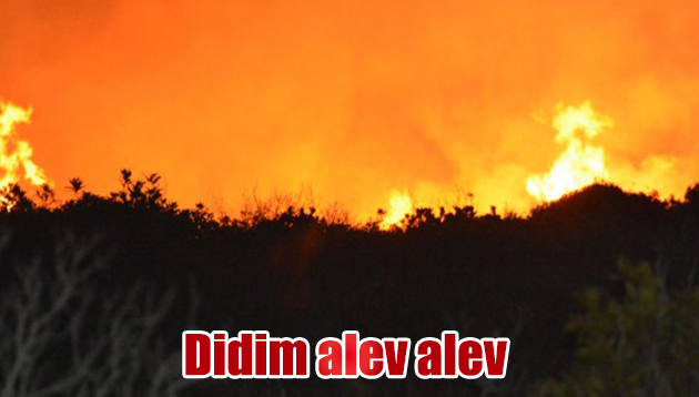 Aydın alev alev