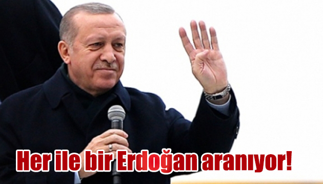 Her ile bir Erdoğan aranıyor?
