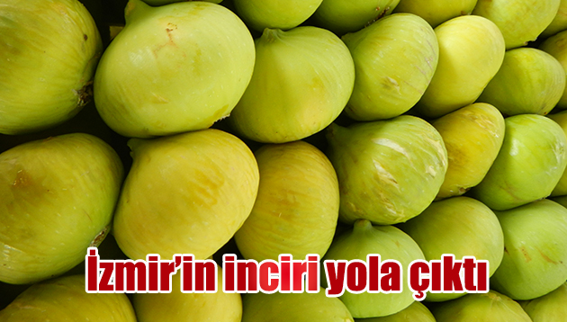 İzmir’in inciri yola çıktı