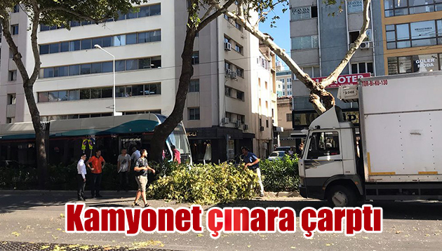 Kamyonet çınara çarptı