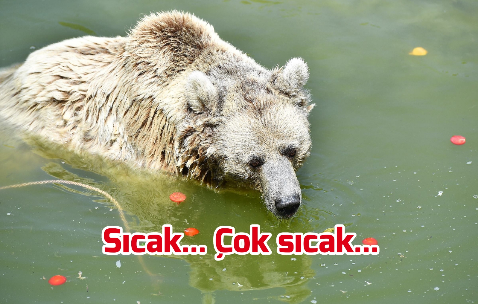 Sıcak… Çok sıcak….