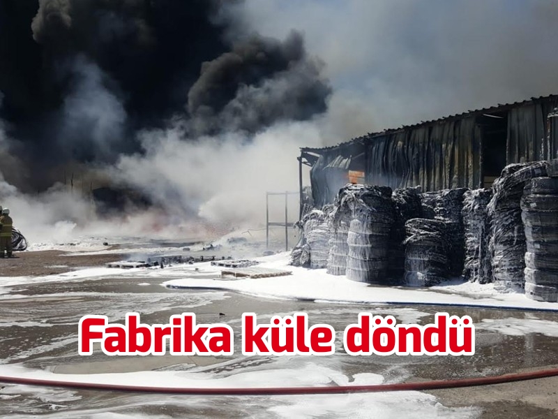 Fabrika küle döndü