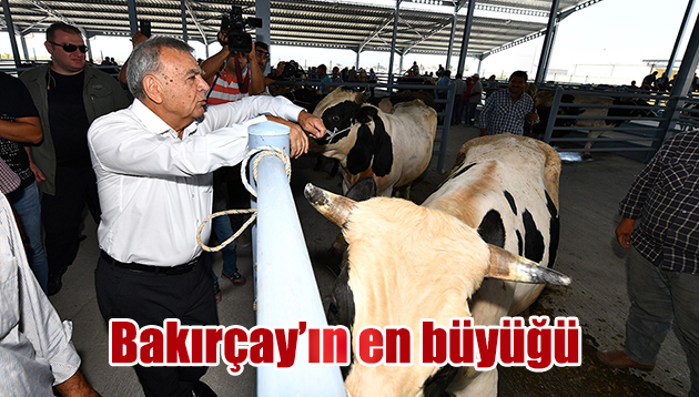 Bakırçay’ın en büyüğü