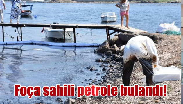 Foça sahili petrole bulandı!