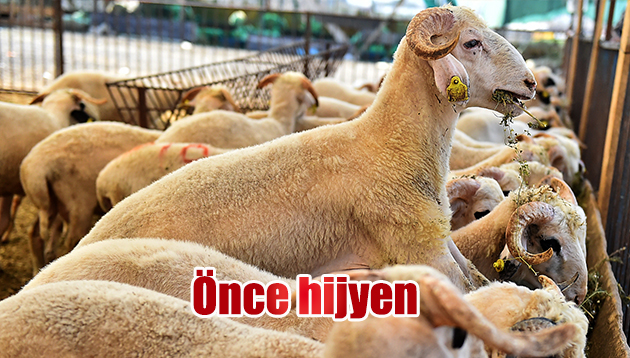 Önce hijyen