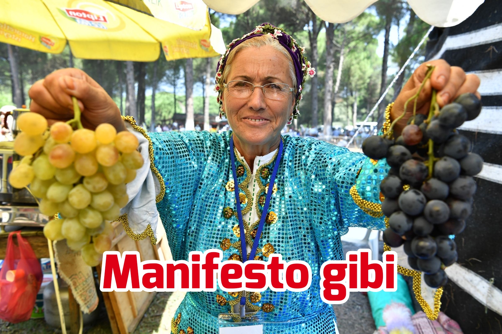 Manifesto gibi