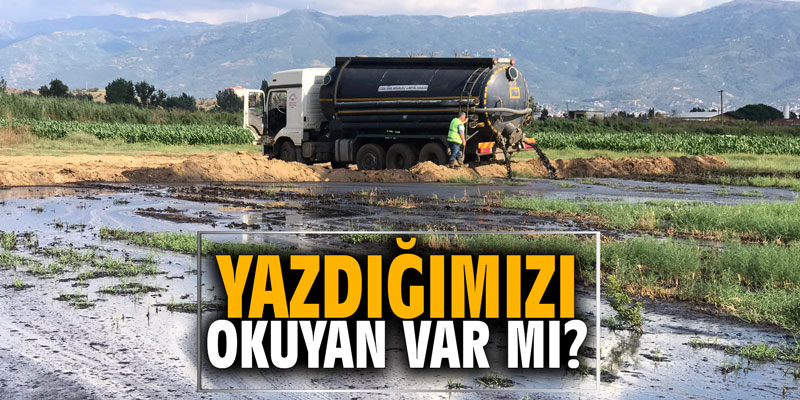 YAZDIĞIMIZI OKUYAN VAR MI?