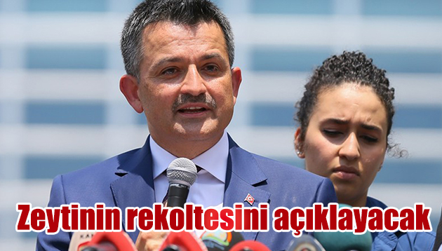 ZEYTİN REKOLTESİNİ AÇIKLAYACAK