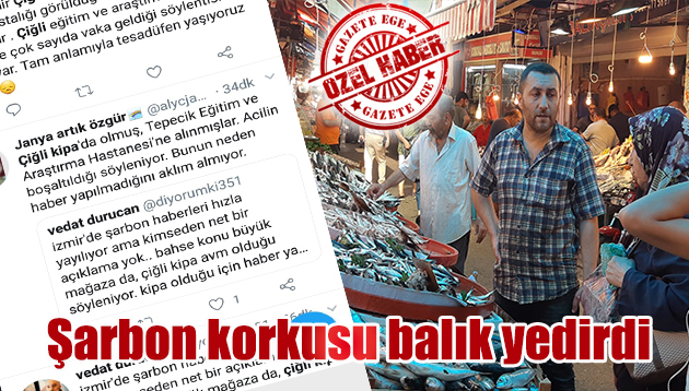 Şarbon korkusu balık yedirdi