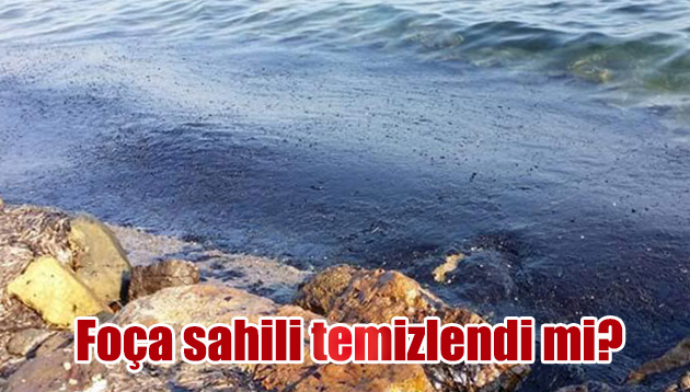 Foça sahili temizlendi mi?