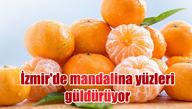 İzmir’de mandalina yüzleri güldürüyor