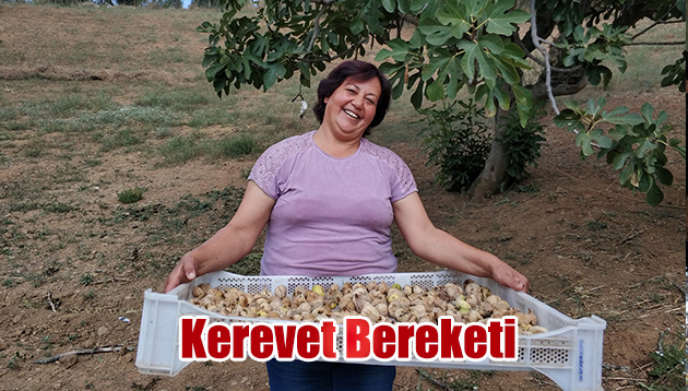 Kerevet bereketi