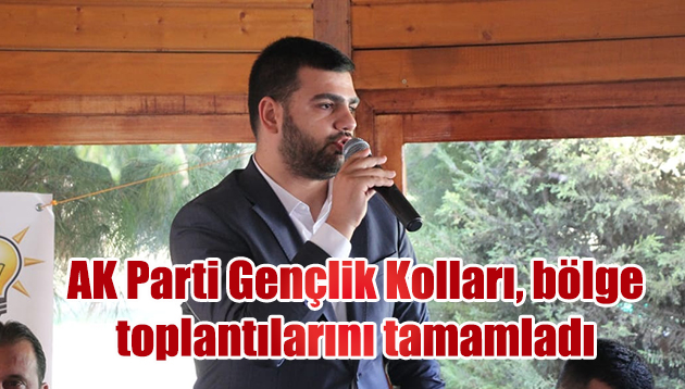 AK Parti Gençlik Kolları, bölge toplantılarını tamamladı