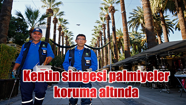 Kentin simgesi palmiyeler koruma altında