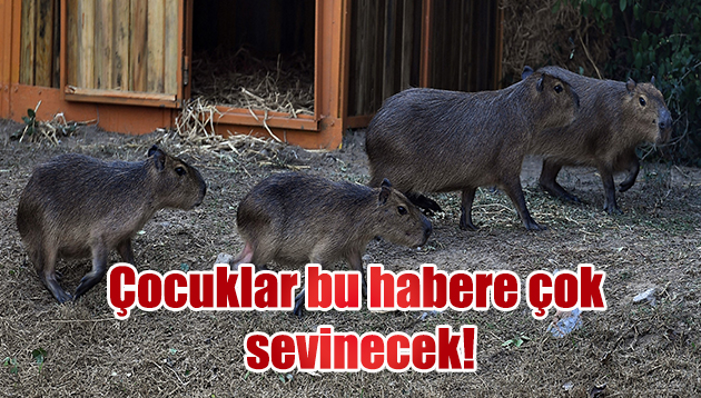 Çocuklar bu habere çok sevinecek!