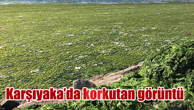 Karşıyaka’da korkutan görüntü