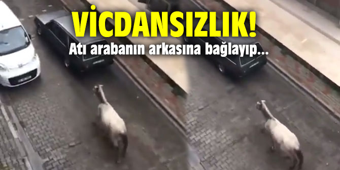 Vicdansızlık! Atı arabanın arkasına bağlayıp…