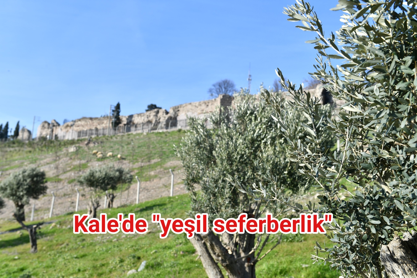 Kale’de “yeşil seferberlik”