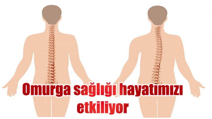 Omurga sağlığı hayatımızı etkiliyor
