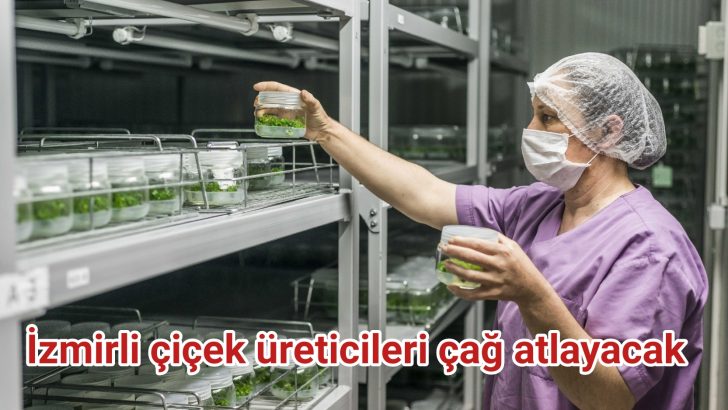 İzmirli çiçek üreticileri çağ atlayacak
